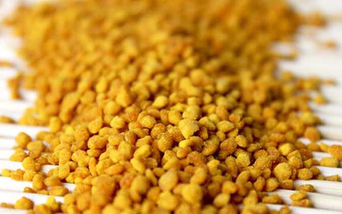 蜂花粉的作用與功效及食用方法 蜂花粉