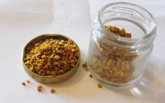 蜂花粉的作用與功效及食用方法 蜂花粉