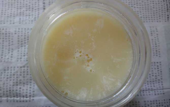 蜂蜜變質是什么樣子的?蜂蜜有這幾個現象,說明蜂蜜已經變質了! 蜂蜜