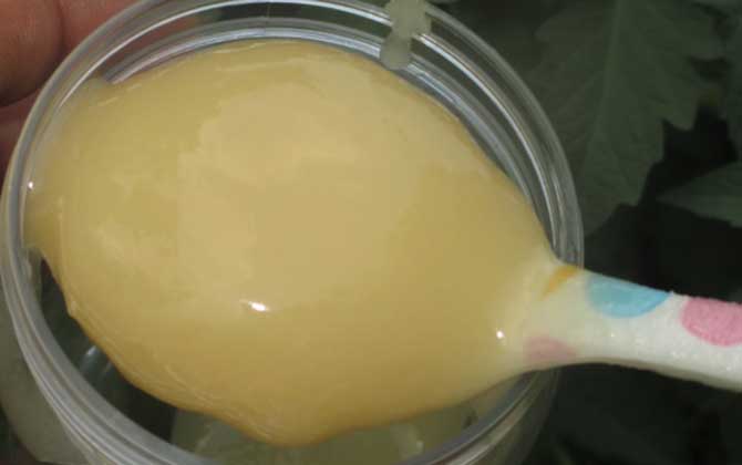 蜂蜜的種類有哪些?因分類依據(jù)的不同,蜂蜜可劃分成很多種類! 蜂蜜