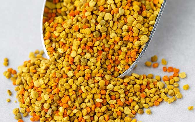 蜂花粉的作用與功效有哪些?經常吃些蜂花粉,這7個好處跑不了! 蜂花粉