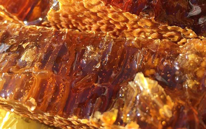 蜂蜜美容的最佳方法,掌握這些常識和竅門,美容效果將事半功倍! 蜂蜜美容