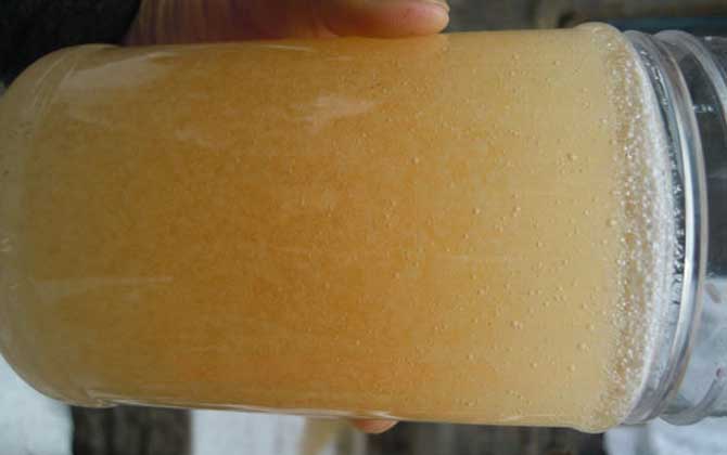 假蜂蜜是怎么做出來的?作假方法花樣百出,有些方法堪稱“恐怖”! 蜂蜜