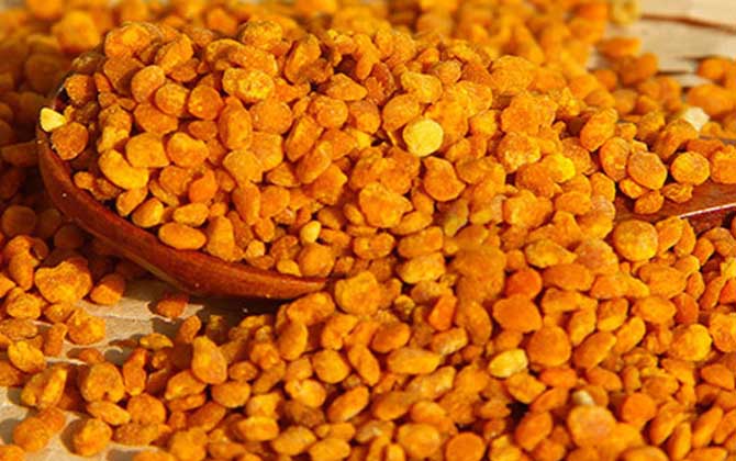 茶花粉適合什么人吃?尤其是這6類人,經常吃些茶花粉大有裨益! 茶花粉