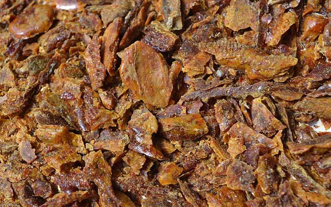 蜂膠是什么東西?蜜蜂采集樹膠加工成的,素有“液體黃金”之稱! 蜂膠