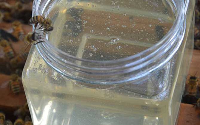 洋槐蜂蜜有什么功效與作用?經(jīng)常喝洋槐蜂蜜,這7個(gè)好處跑不了! 洋槐蜂蜜