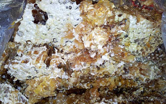 土蜂蜜的作用與功效有哪些?經常喝土蜂蜜,這7個好處跑不了! 土蜂蜜