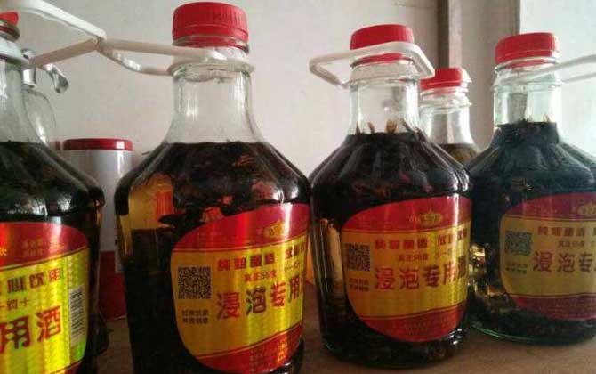 虎頭蜂酒真的能壯陽嗎?有一定的輔助效果,但飲用不當易中毒! 虎頭蜂酒