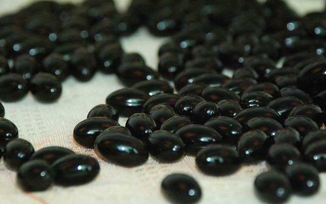 吃蜂膠也得癌是怎么回事?蜂膠不能預(yù)防癌癥,但能提高免疫力! 蜂膠