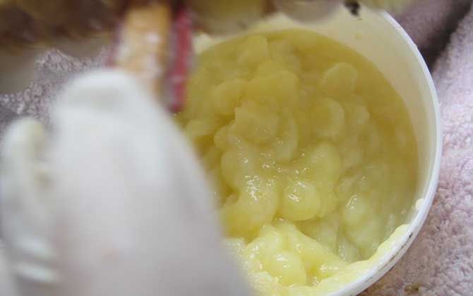 蜂王漿長期吃會雌激素過量嗎?不會,蜂王漿中雌激素含量并不高! 蜂王漿