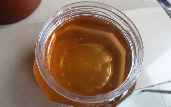 桉樹蜜的作用與功效及食用方法 桉樹蜜