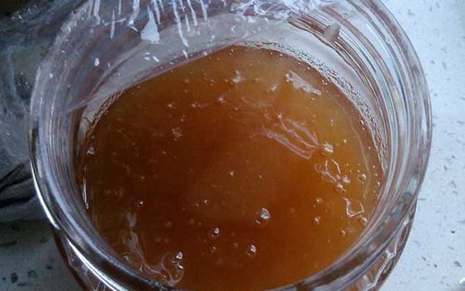 桉樹蜜的作用與功效及食用方法 桉樹蜜