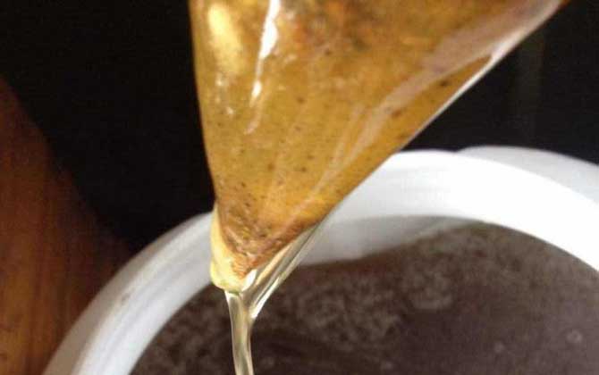 中國(guó)四大名蜜是哪四種? 荔枝蜜