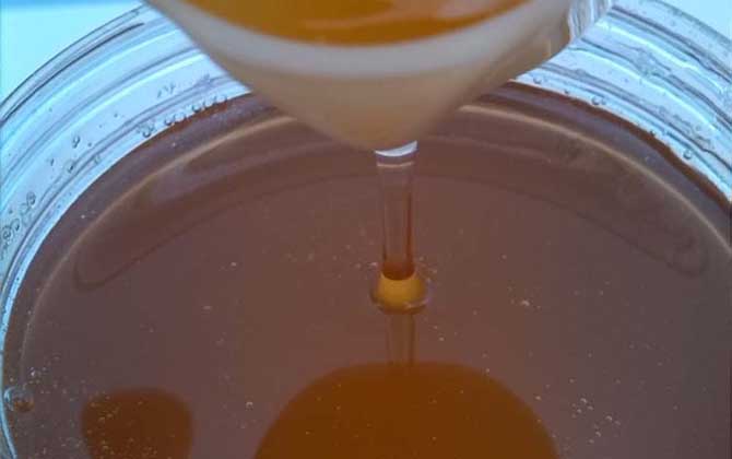 中國(guó)四大名蜜是哪四種? 荊條蜜