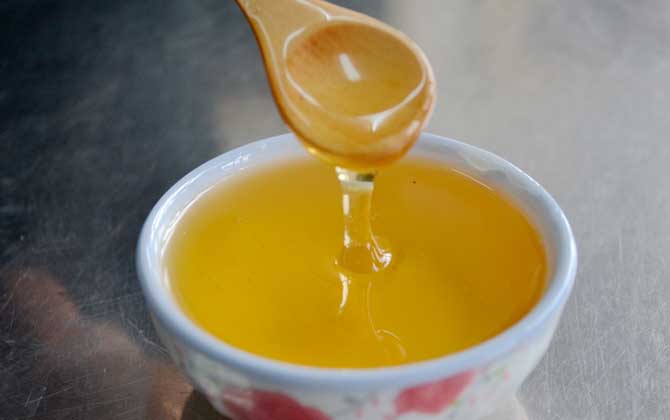 稀有蜜種的種類及圖片大全 黃柏蜜