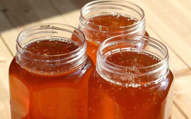 棗花蜜的作用與功效及食用方法 棗花蜜