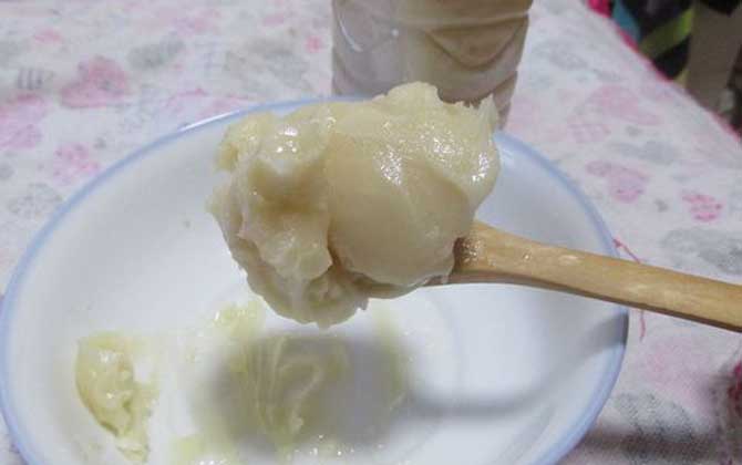 油菜花蜜的功效與作用及食用方法 油菜花蜜