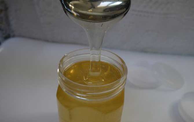 紫云英蜜的功效與作用及食用方法 紫云英蜜