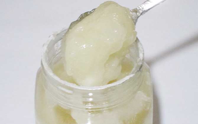 柃木蜜的功效與作用及食用方法 柃木蜜