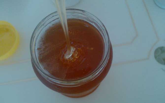 野菊花蜂蜜的功效與作用及食用方法 野菊花蜂蜜