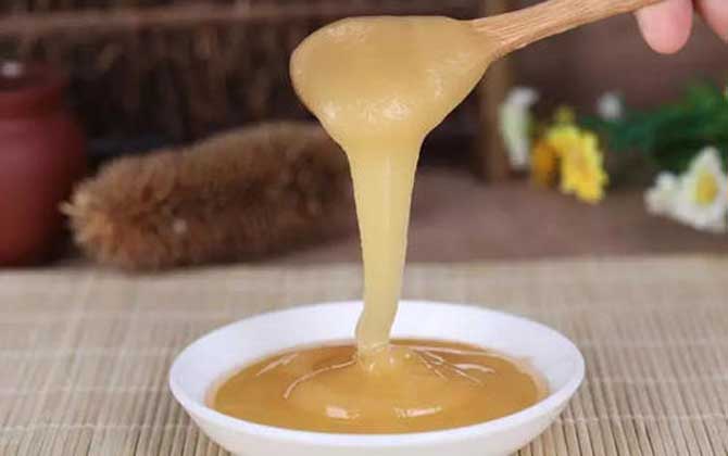 藿香蜜的作用與功效及食用方法 藿香蜜