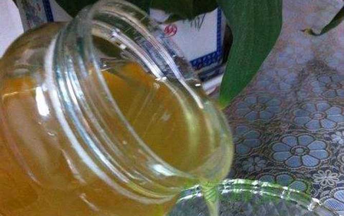 桔梗蜜的作用與功效及食用方法 桔梗蜜