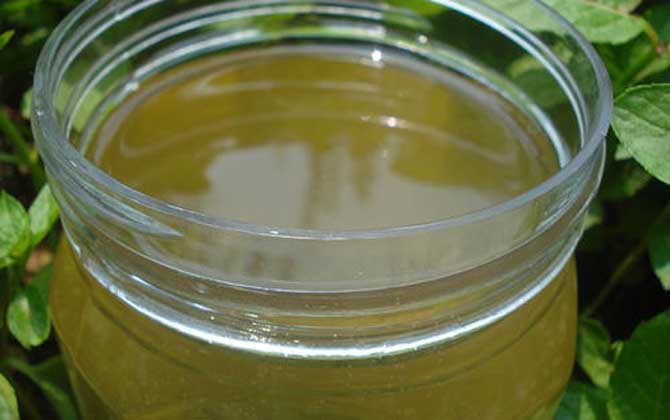 桐花蜜的作用與功效及食用方法 桐花蜜