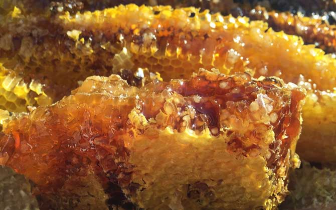 蜂蜜價格為什么有高有低? 蜂蜜