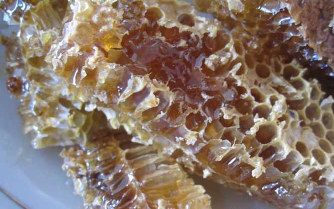 純野生蜂蜜200元一斤貴嗎? 野生蜂蜜