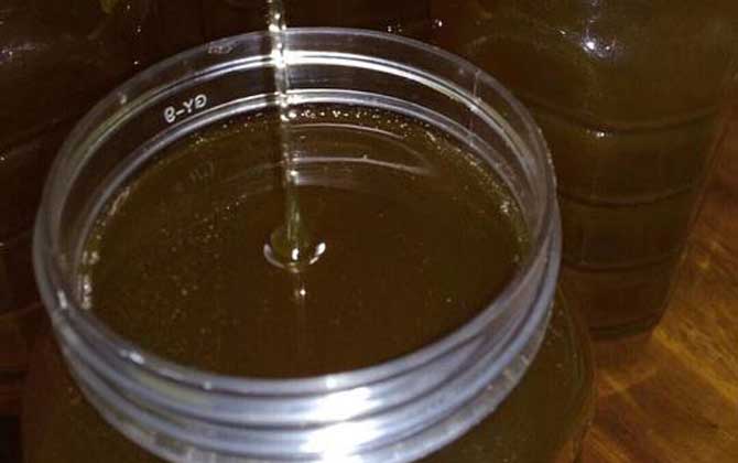 龍眼蜜價(jià)格多少錢一斤? 龍眼蜜