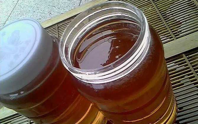 棗花蜜價(jià)格多少錢一斤? 棗花蜜