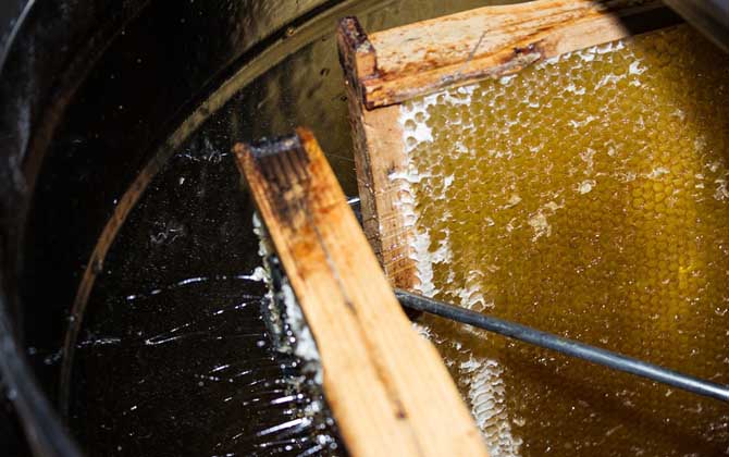 真正的蜂蜜多少錢一斤? 蜂蜜