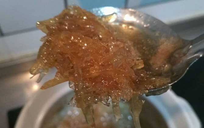 蜂蜜柚子茶一天喝幾次最好? 蜂蜜柚子茶