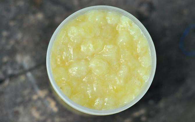 蜂膠和蜂王漿的區別 蜂王漿