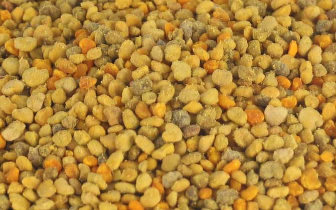 百花粉的功效與作用及食用方法 百花粉