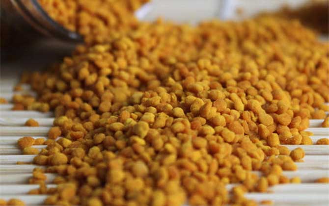 最新茶花粉價(jià)格多少錢一斤? 茶花粉