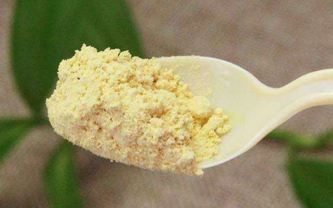 長期服用松花粉會誘發癌癥嗎? 松花粉