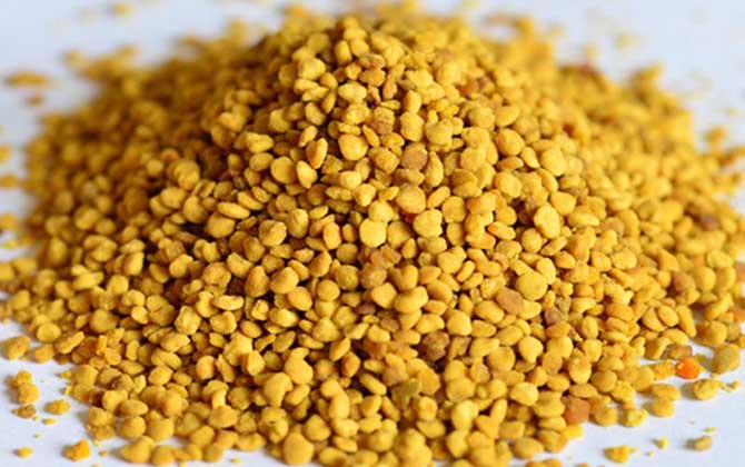 油菜花粉的功效與作用及禁忌人群 油菜花粉