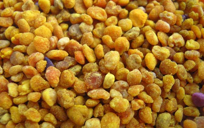 蜂花粉的功效與作用及禁忌人群 蜂花粉