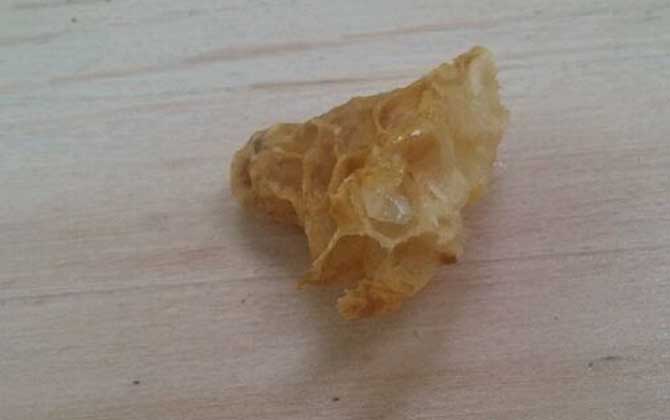 急造王臺蜂王能繁殖嗎? 急造王臺