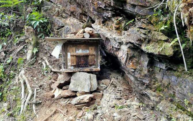 空蜂箱怎么引來蜜蜂? 蜂箱引蜂