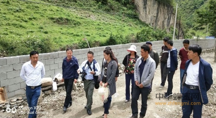 扶貧路上與蜂為伴—中國養(yǎng)蜂學(xué)會(huì)審查舟曲縣創(chuàng)建“全國中華蜜蜂之鄉(xiāng)”工作 扶貧路上與蜂為伴—中國養(yǎng)蜂學(xué)會(huì)審查舟曲縣創(chuàng)建“全國中華蜜蜂之鄉(xiāng)”工作