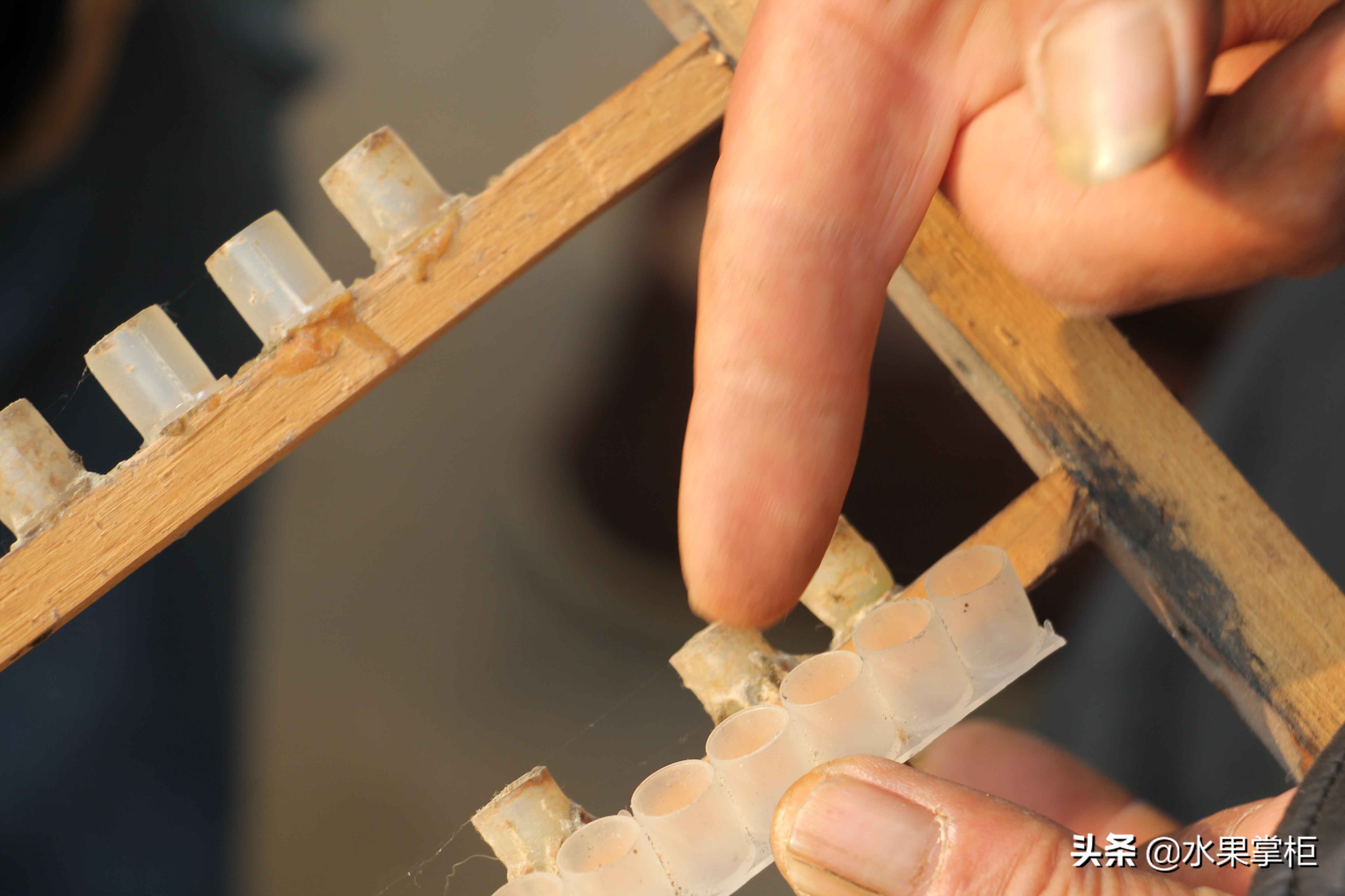 漲知識(shí)：農(nóng)家養(yǎng)土蜂蜜的工具，你認(rèn)識(shí)幾個(gè)？留言回復(fù)，連載哦