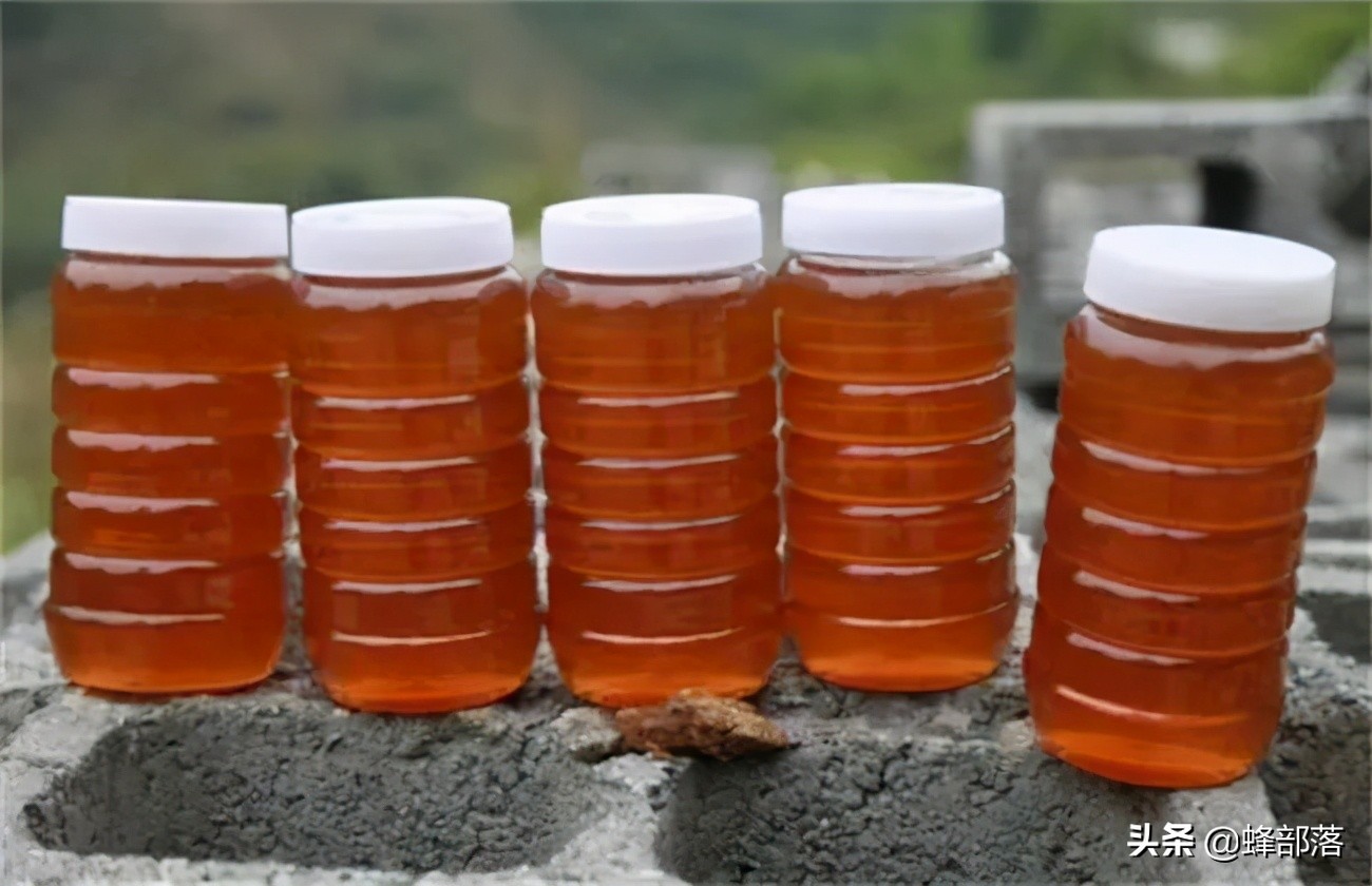 意大利引進國內(nèi)的蜜蜂，嚴(yán)重危害中華蜜蜂，為啥我國還要大量養(yǎng)殖？