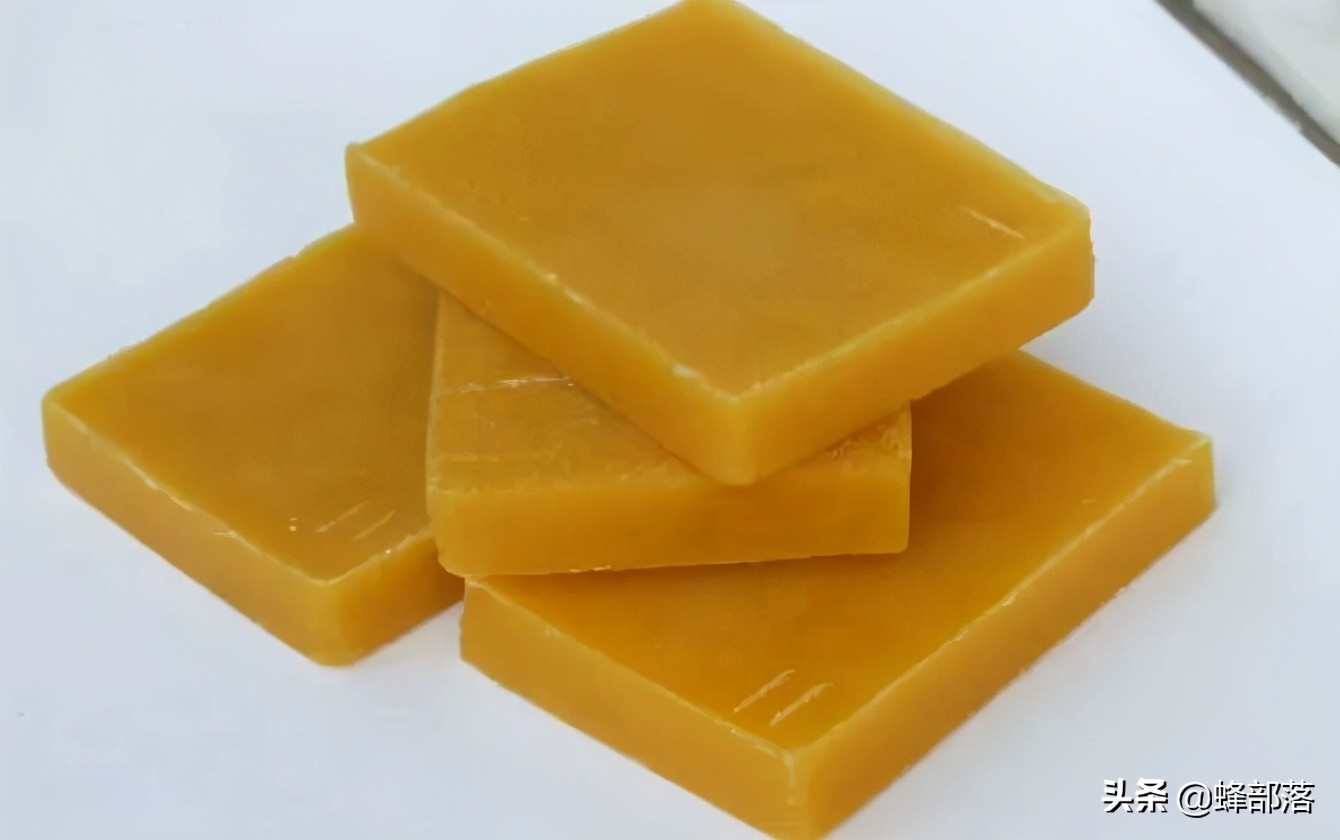 意大利引進國內(nèi)的蜜蜂，嚴(yán)重危害中華蜜蜂，為啥我國還要大量養(yǎng)殖？