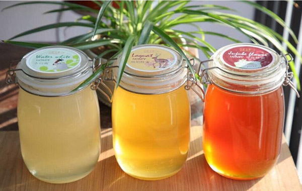 烏桕 烏桕圖片 烏桕 烏桕圖片