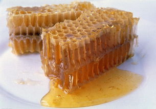 五倍子有花螨嗎(種植前景如何) 五倍子有花螨嗎(種植前景如何)