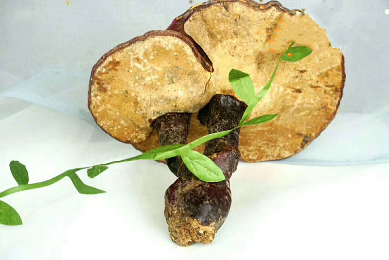 我國初級農(nóng)產(chǎn)品目錄（初級農(nóng)產(chǎn)品包括的范圍）