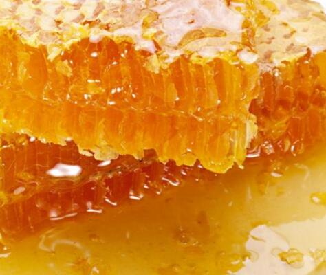 黑蜂蜂蜜的作用與功效及食用方法(黑蜂蜜的營養價值) 黑蜂蜂蜜的作用與功效及食用方法(黑蜂蜜的營養價值)