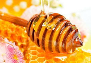 芝麻蜜和枇杷蜜哪里最多(十大蜂蜜產(chǎn)地) 芝麻蜜和枇杷蜜哪里最多(十大蜂蜜產(chǎn)地)